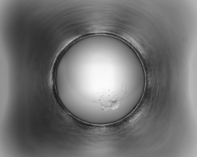 X0000096460885200802141530