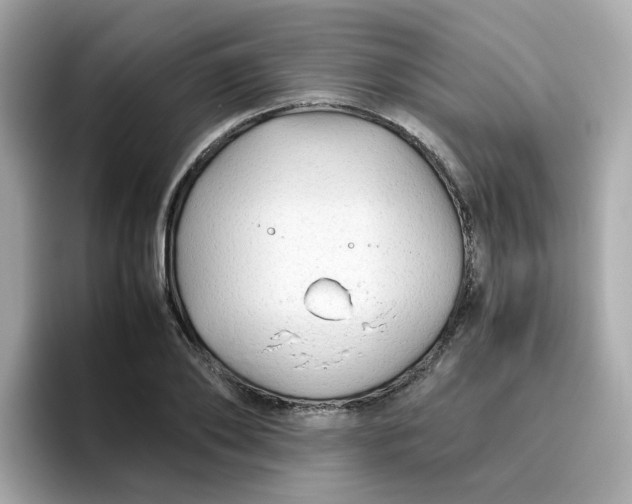 X0000096460886200802141530