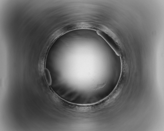 X0000096460889200802141530
