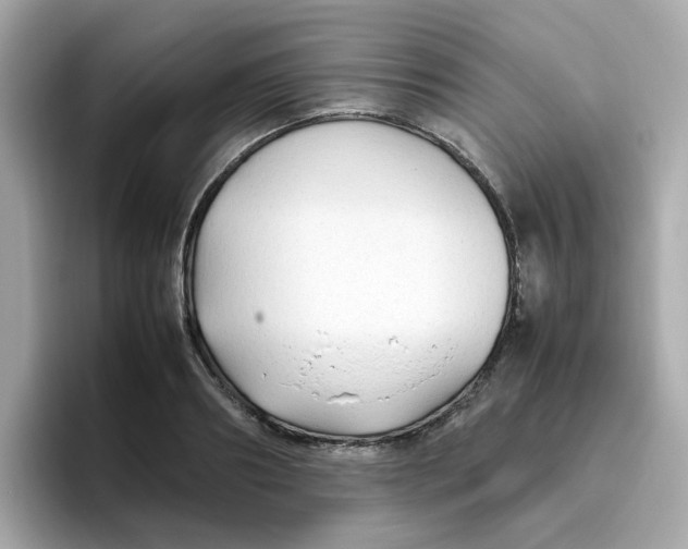 X0000096460890200802141530