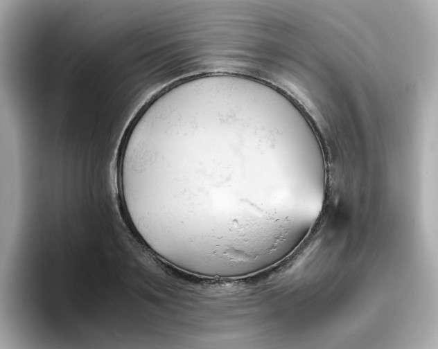 X0000096460891200802141530