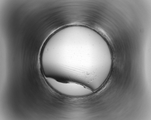X0000096460892200802141530