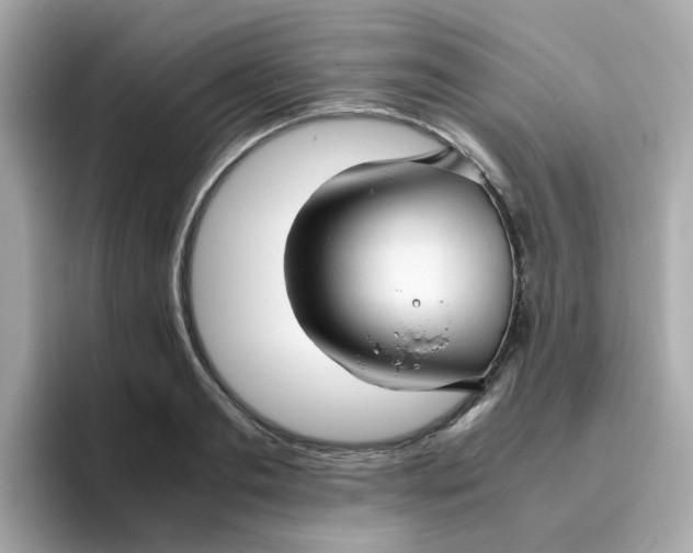 X0000096460893200802141530