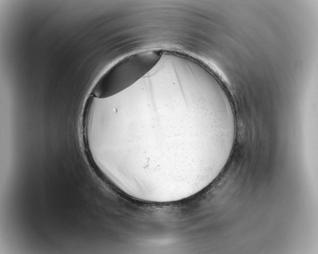 X0000096460895200802141530