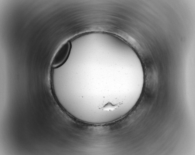 X0000096460896200802141530