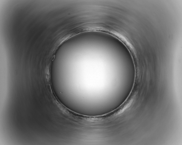 X0000096460897200802141530