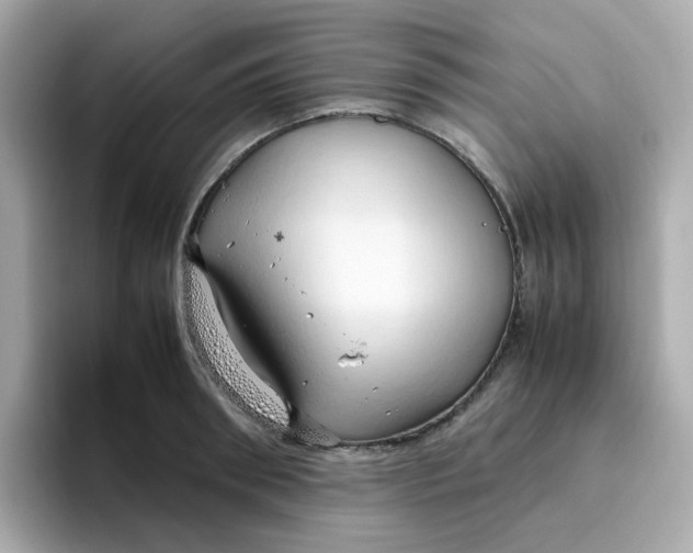 X0000096460898200802141530