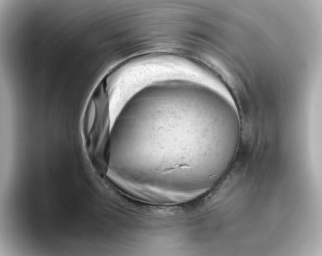 X0000096460899200802141530