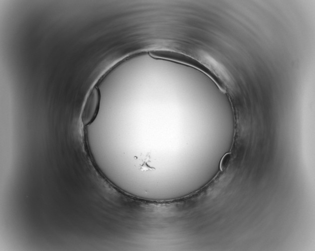X0000096460900200802141530