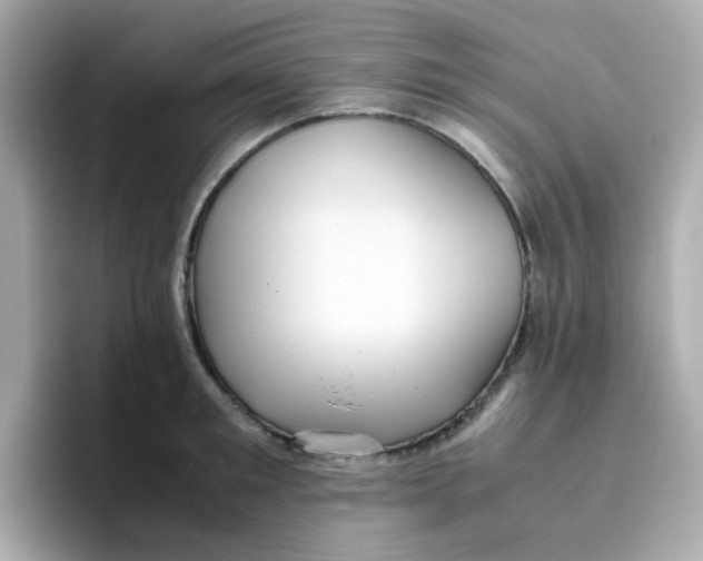 X0000096460901200802141530