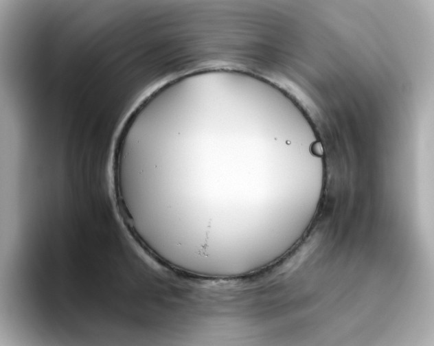 X0000096460902200802141530