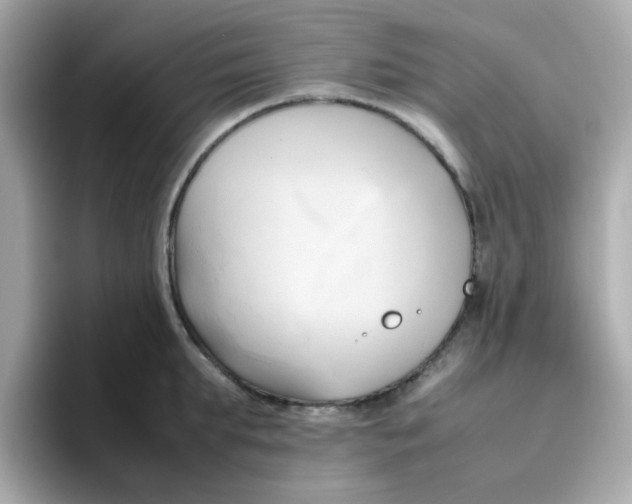 X0000096460903200802141530