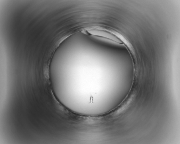 X0000096460905200802141530