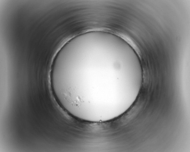 X0000096460906200802141530