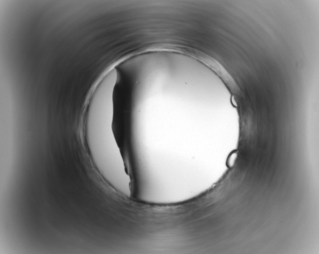 X0000096460908200802141530