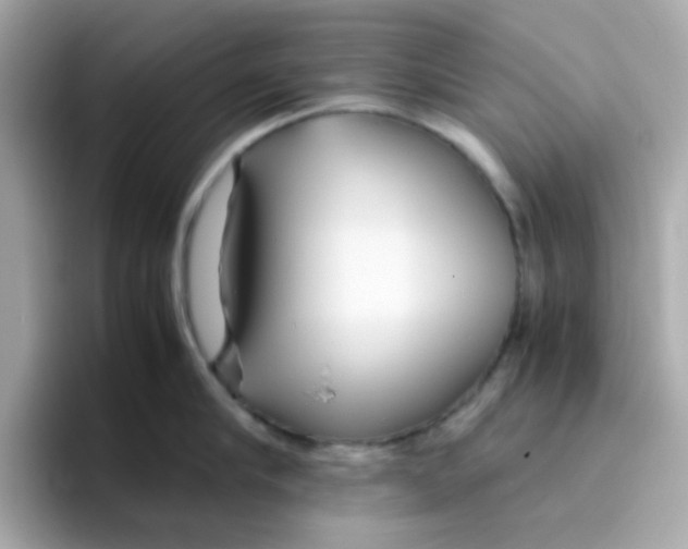 X0000096460910200802141530