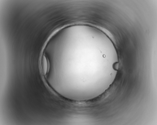 X0000096460911200802141530