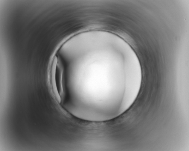 X0000096460912200802141530