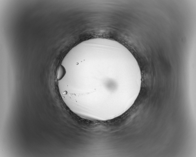 X0000096460913200802141529