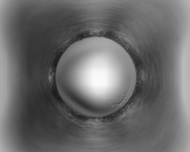 X0000096460914200802141529