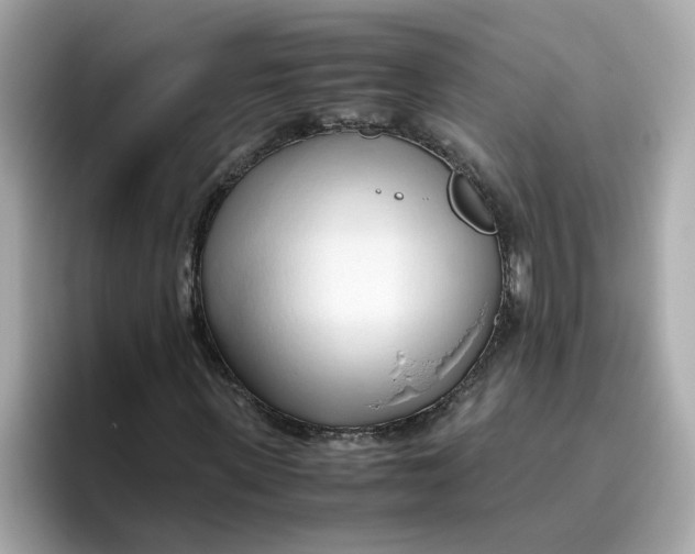 X0000096460915200802141529