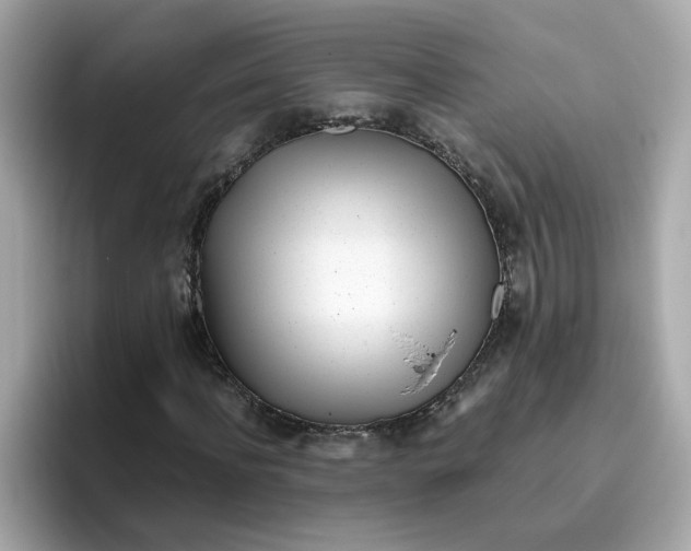 X0000096460916200802141529