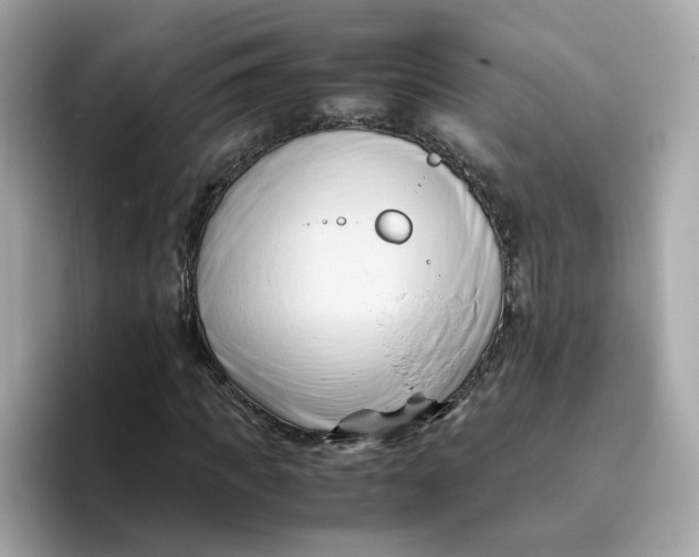 X0000096460917200802141529