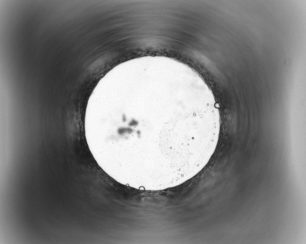 X0000096460918200802141529