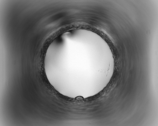X0000096460919200802141529