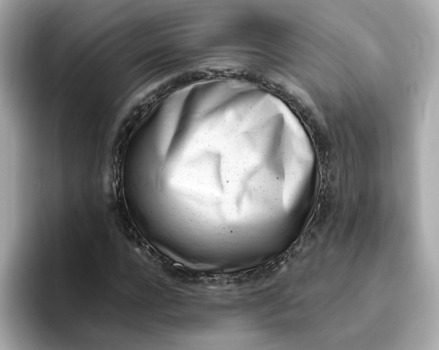 X0000096460920200802141529