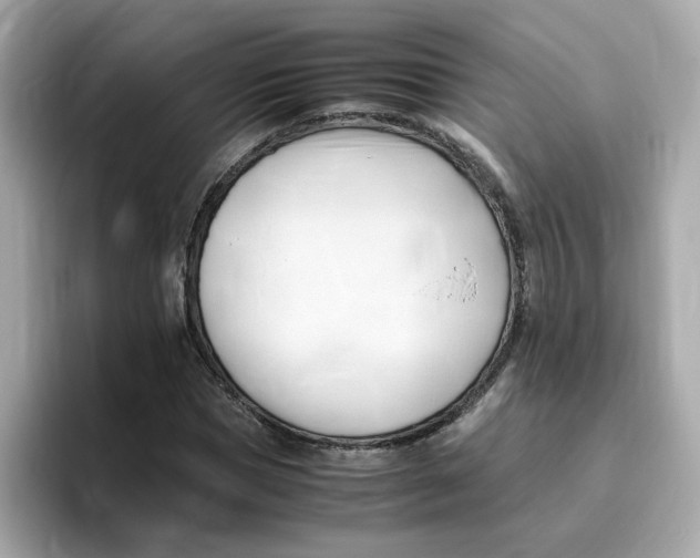 X0000096460921200802141529