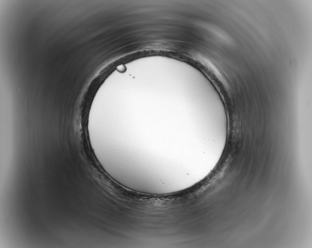 X0000096460923200802141529