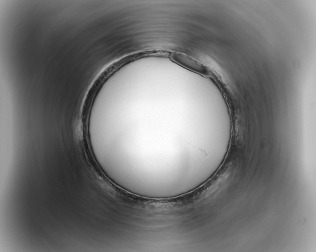 X0000096460924200802141529