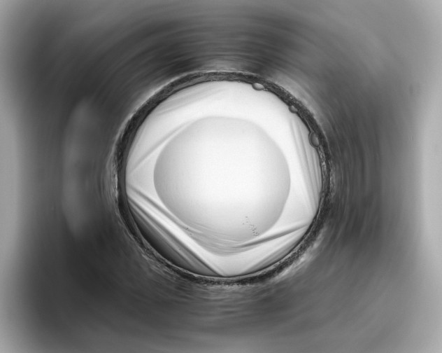 X0000096460925200802141529