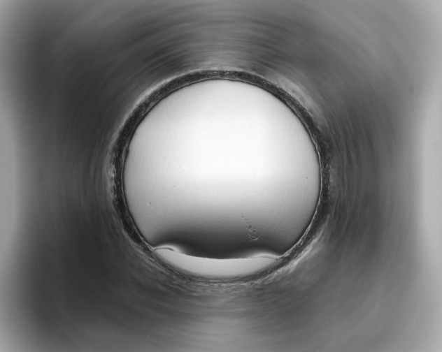X0000096460926200802141529