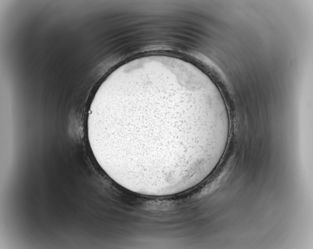 X0000096460929200802141529