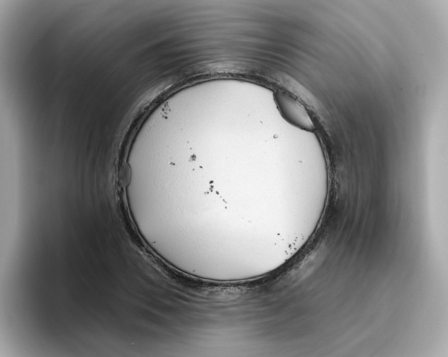 X0000096460930200802141529