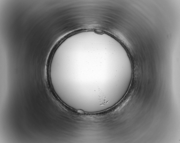 X0000096460932200802141529