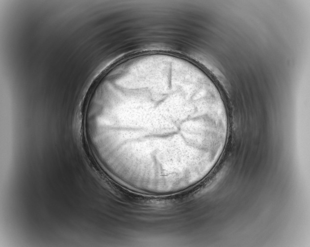 X0000096460933200802141529