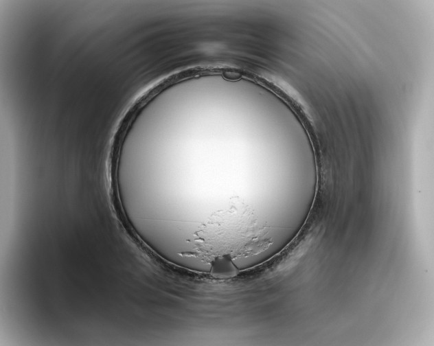 X0000096460935200802141529