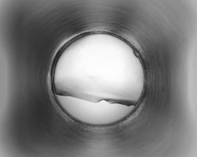 X0000096460936200802141529