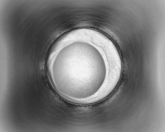 X0000096460937200802141529