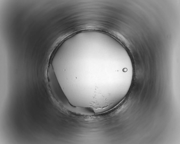 X0000096460938200802141529