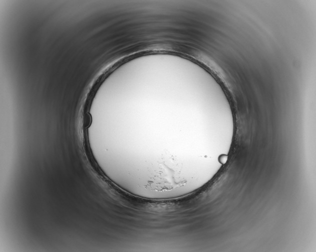 X0000096460939200802141529