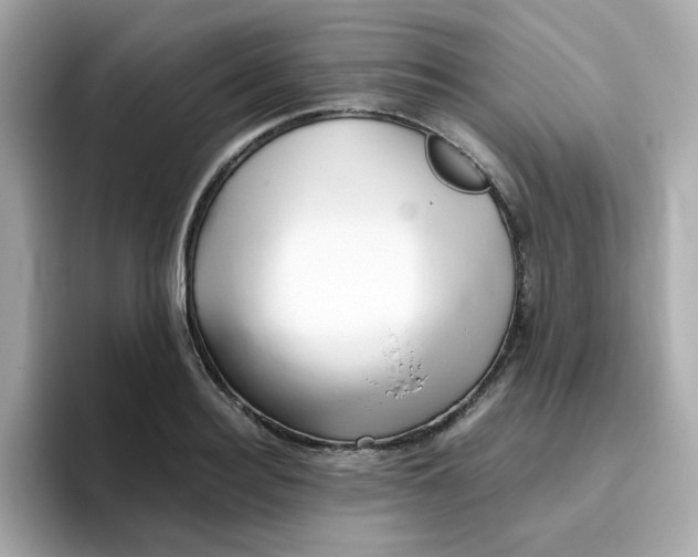 X0000096460940200802141529