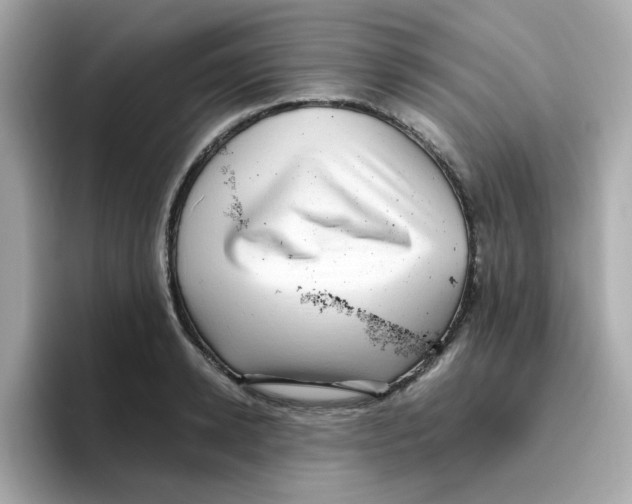 X0000096460942200802141529
