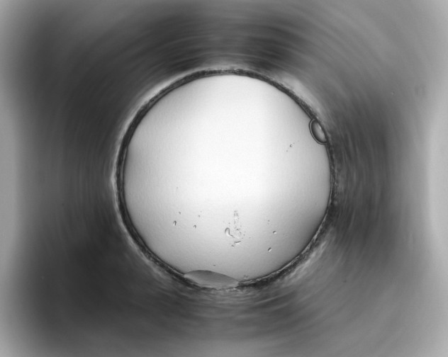 X0000096460943200802141529