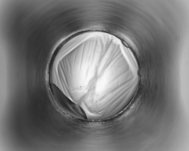 X0000096460944200802141529