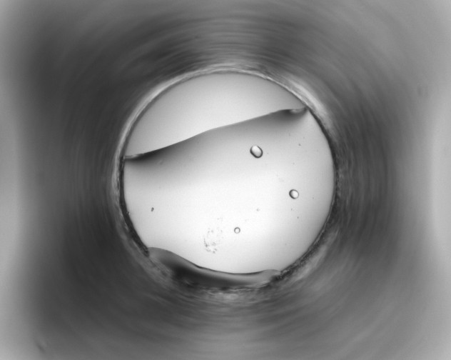 X0000096460948200802141529