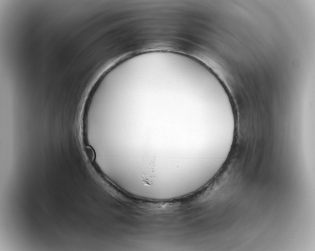 X0000096460949200802141529